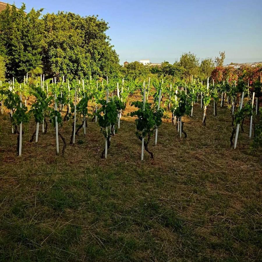 Le Stanze Dei Mori - Quadrupla Con Bagno Privato Bed & Breakfast Mascalucia Exterior photo