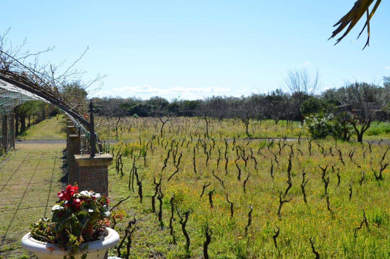 Le Stanze Dei Mori - Quadrupla Con Bagno Privato Bed & Breakfast Mascalucia Exterior photo